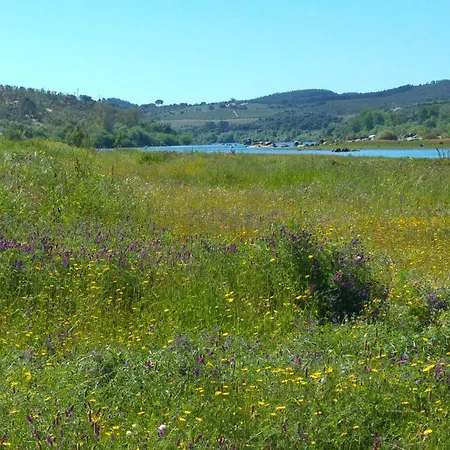 Casa Do Frade * Abrantes