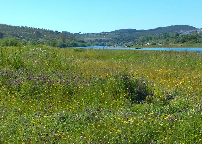 Casa Do Frade * Abrantes